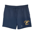 Polo Ralph Lauren Shorts Men's XL Athletic Shorts Drawstring Pockets Blue